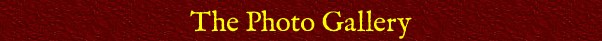 The Photo Gallery