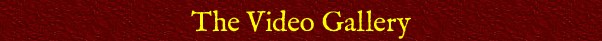 The Video Gallery