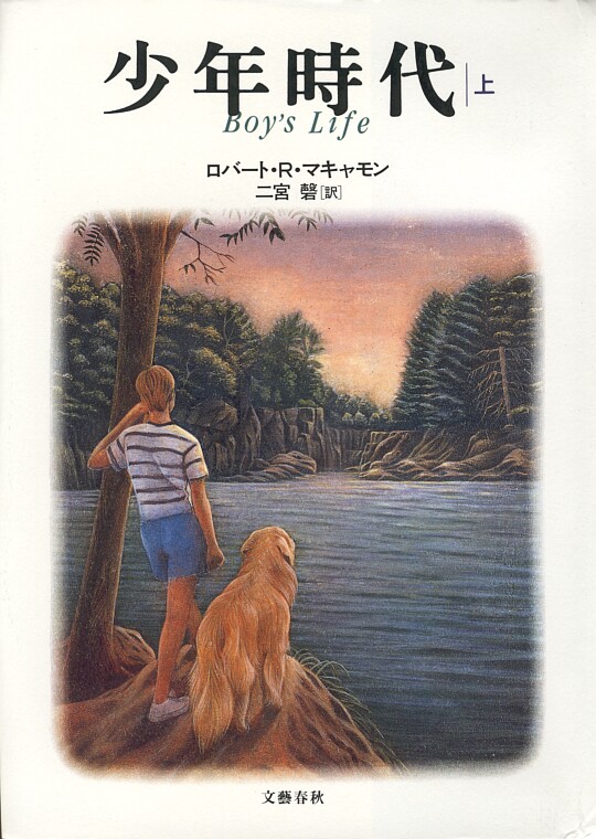 Robert Mccammon Boy S Life Book Cover Gallery